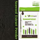 18% Potassium 80 Mesh Seaweed Extract Fertiliser