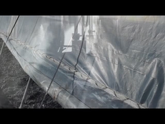 حبيبات هيومات البوتاسيوم / هيومات الصوديوم