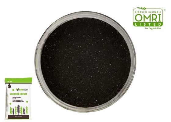 80 Mesh Kelp Extract Powder